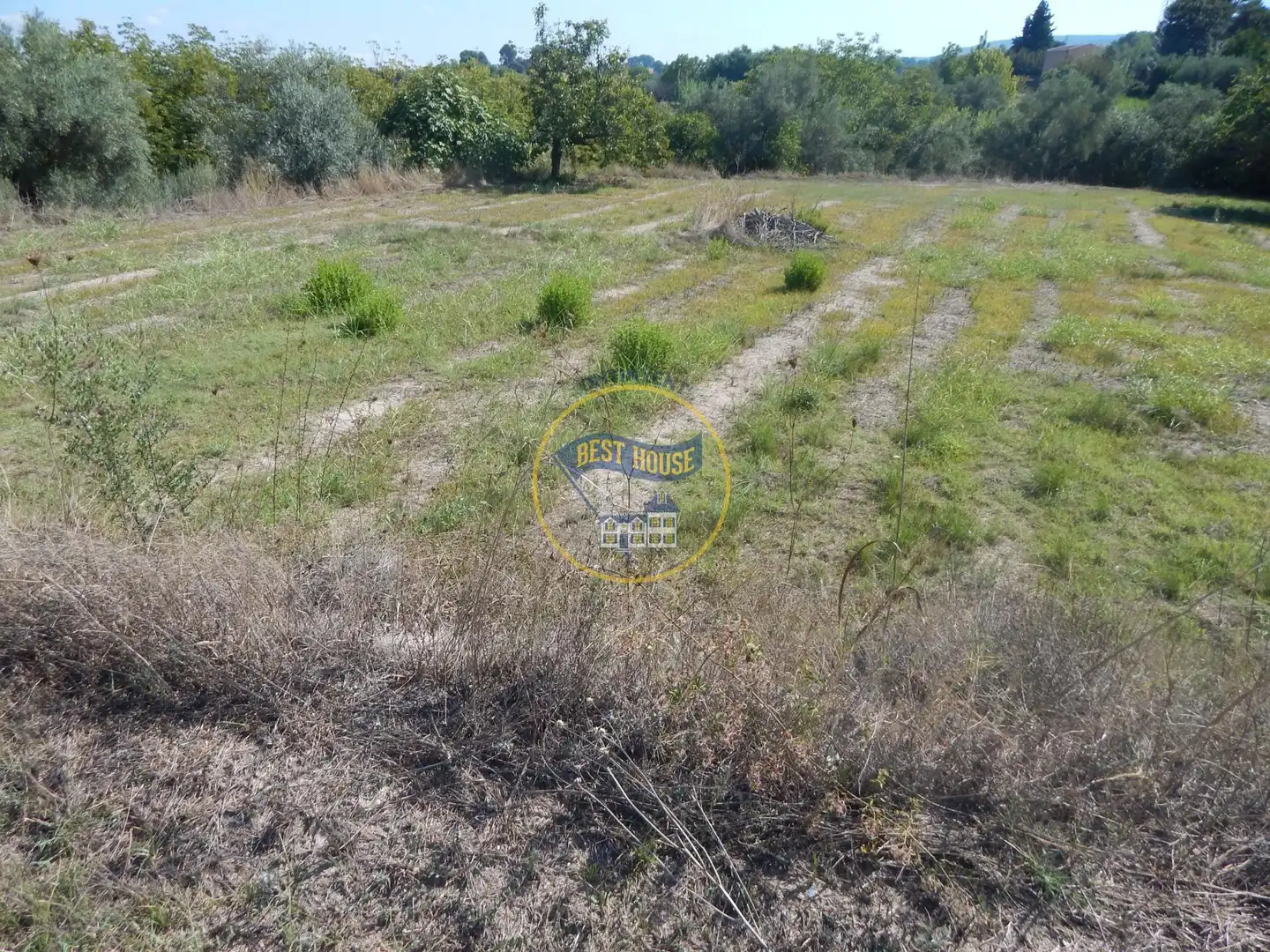 Terrain rustique à vendre à Sant Josep - Zona Hospital, imagen 7