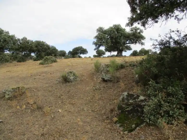 Land for sale in Puente del Congosto