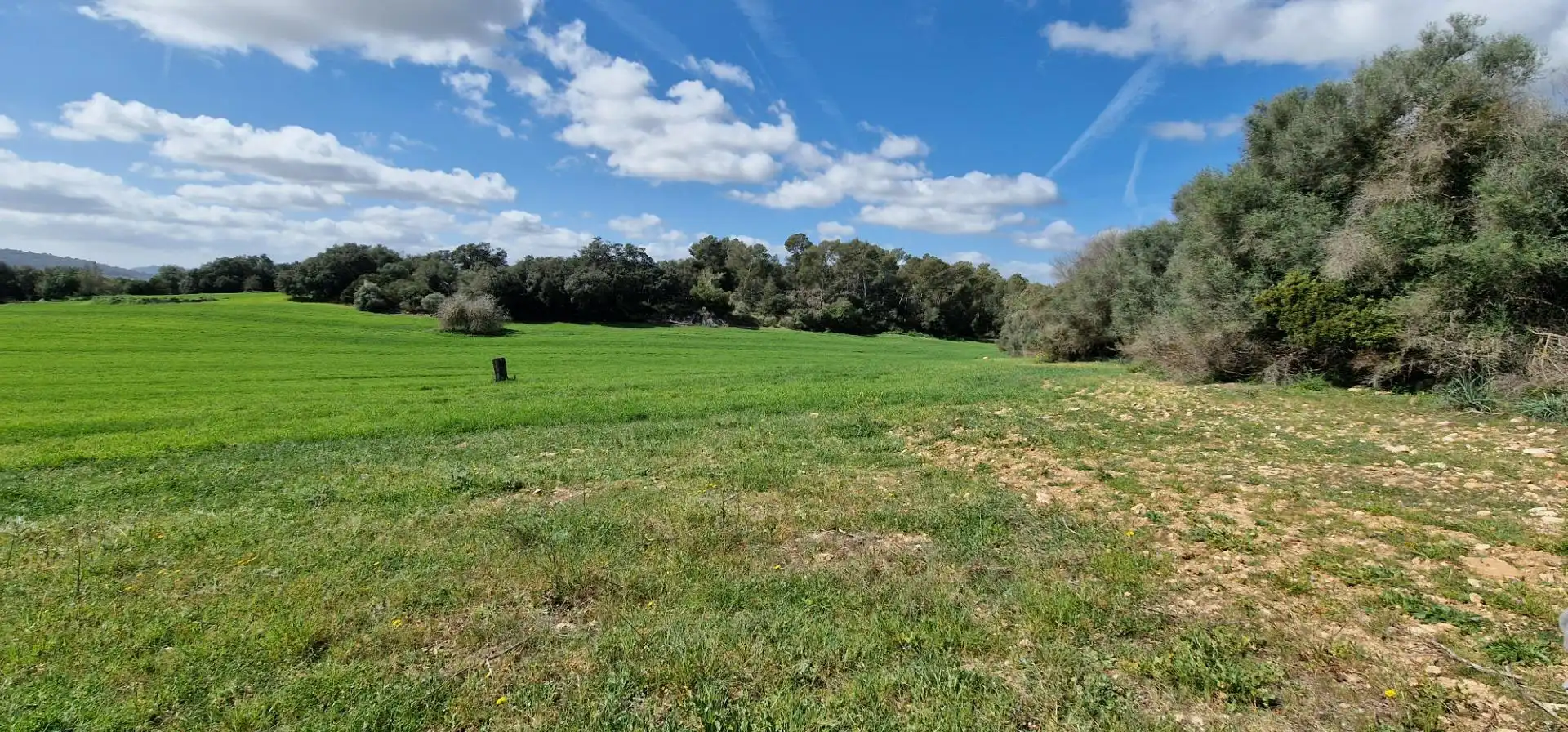 Country homes for sale in Manacor