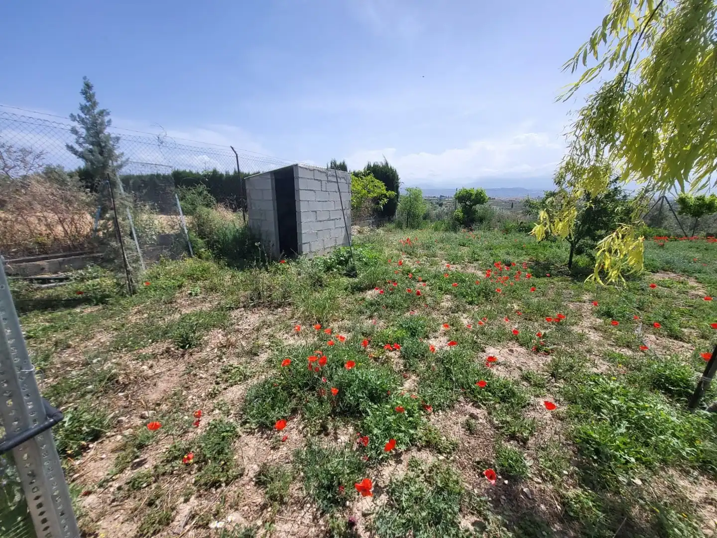 Terrenos y solares en venta en El Torreón - Cortijo Pretel, imagen 14