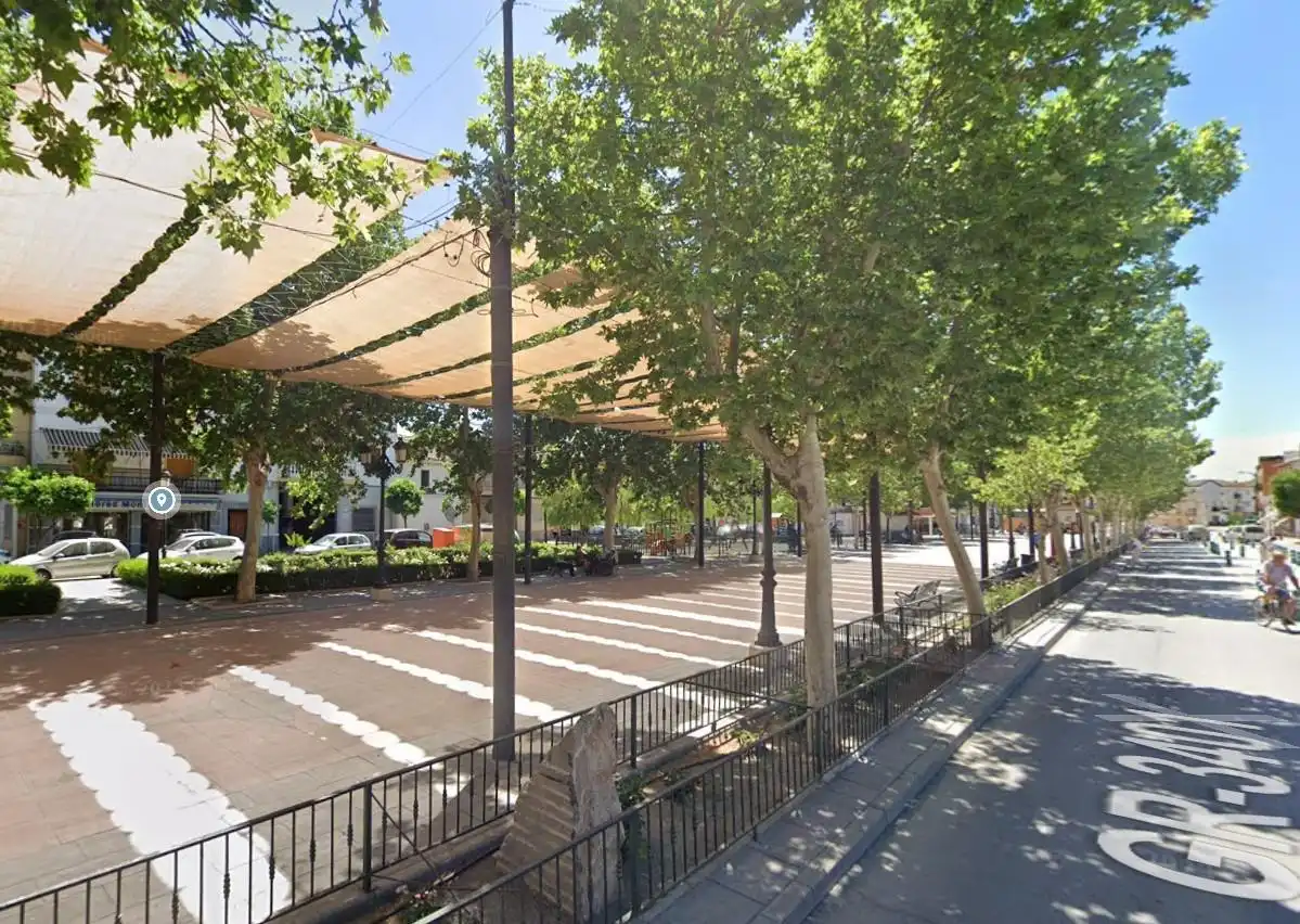 Appartement à vendre à Fuente Vaqueros, imagen 11