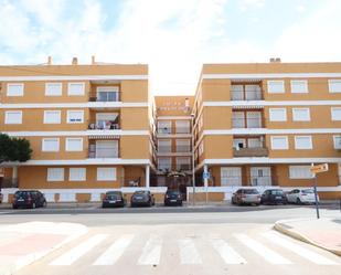 Vista exterior de Traster en venda en Formentera del Segura