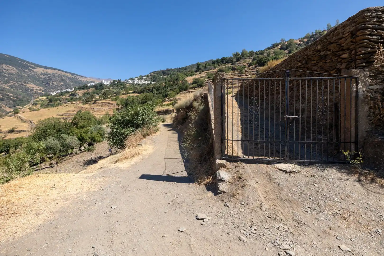 Rural land for sale in Polígono 3 Parcela 19 JARILA. BUBION (GRANADA), imagen 7