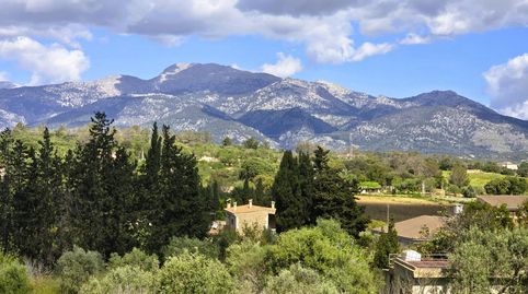Finca Rustica en Inca., image 2