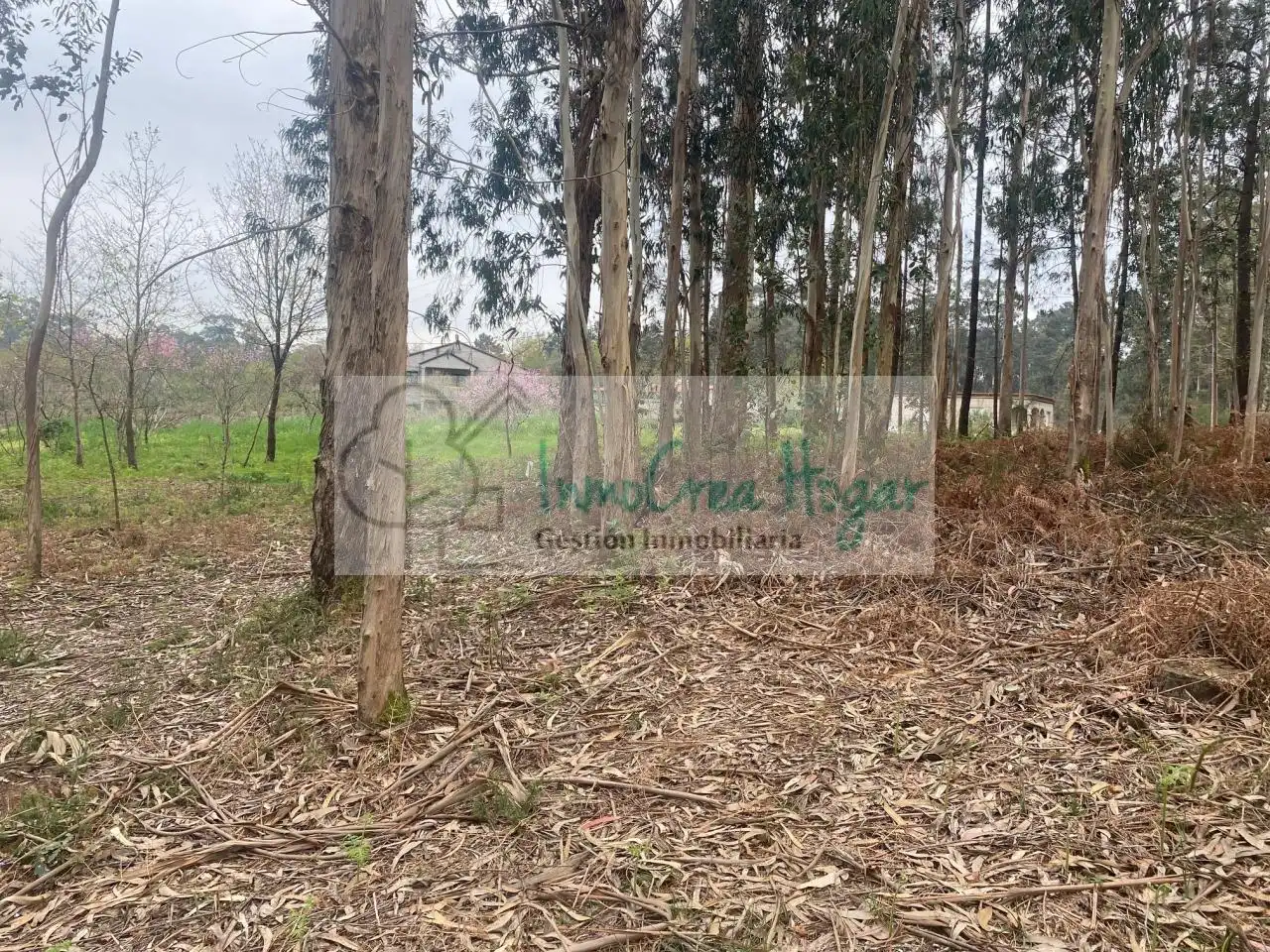 Lands and plots for sale in Salceda de Caselas, imagen 7