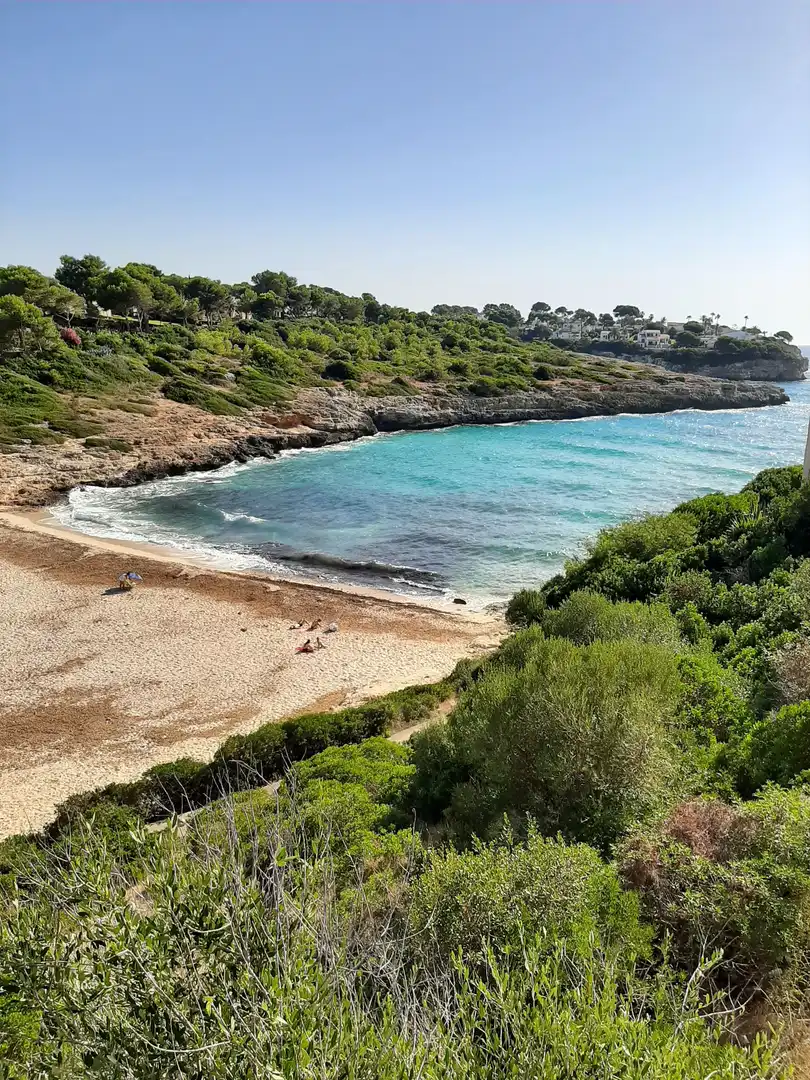 Residential land for sale in Carrer de la Punta Reina 57, imagen 15