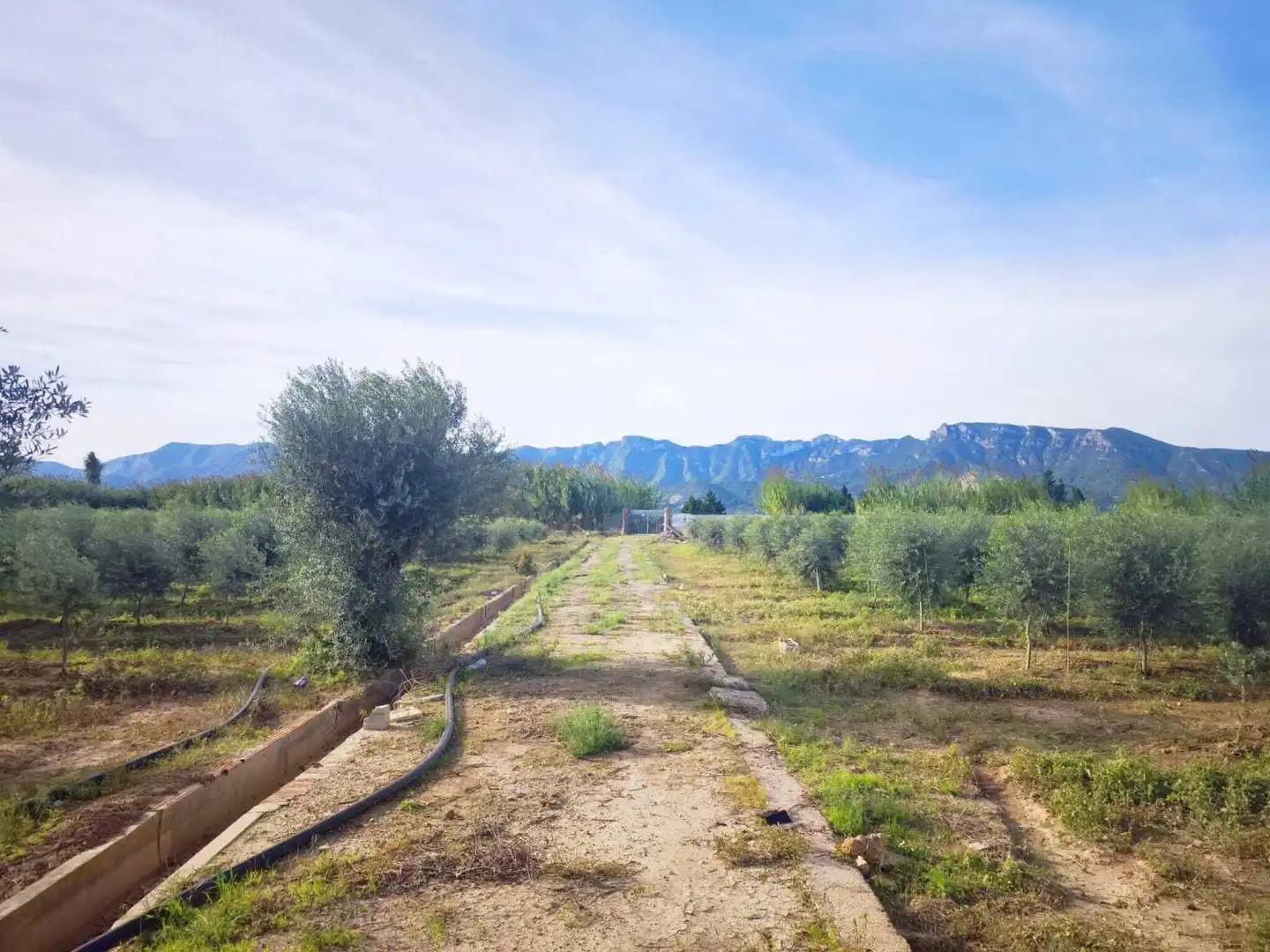 Lands and plots for sale in Fortaleny, imagen 4