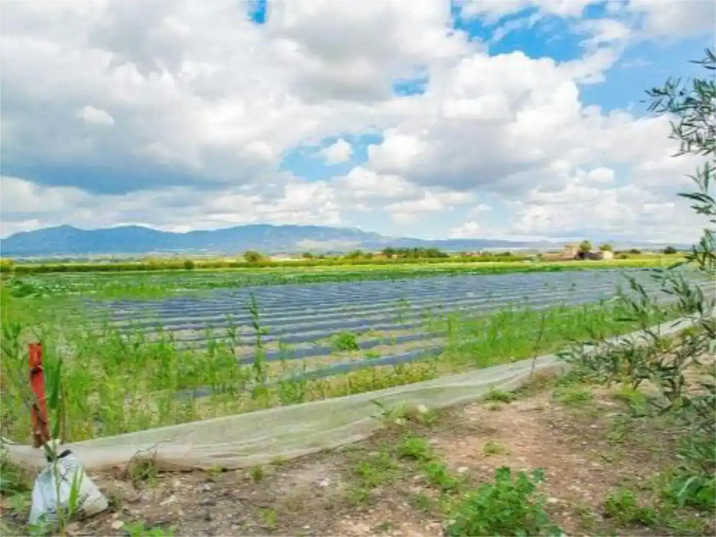 Finca rústica en venda en San Isidro