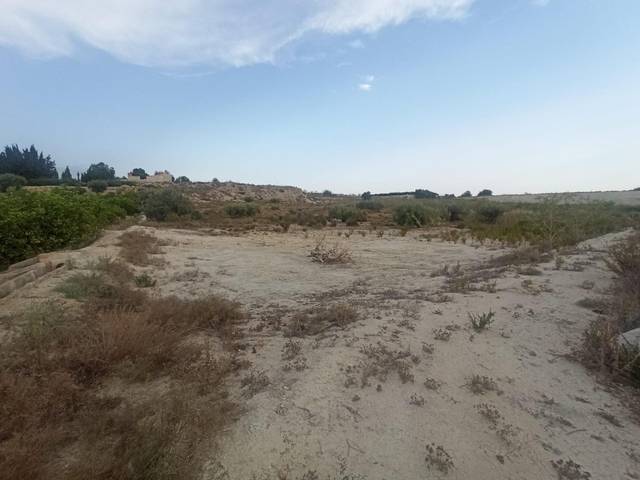 Finca rústica en Venta en Alguazas