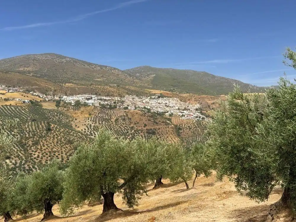 Vista exterior de Finca rústica en venta en Colomera con Calefacción, Terraza y Piscina