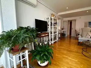 Living room of Flat for sale in Madrid  with Air Conditioner and Heating