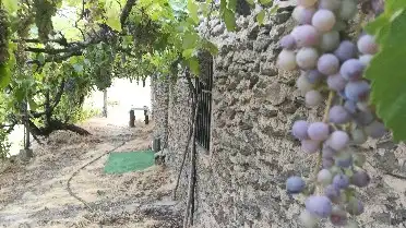 Rural land for sale in Alpujarra de la Sierra, imagen 4