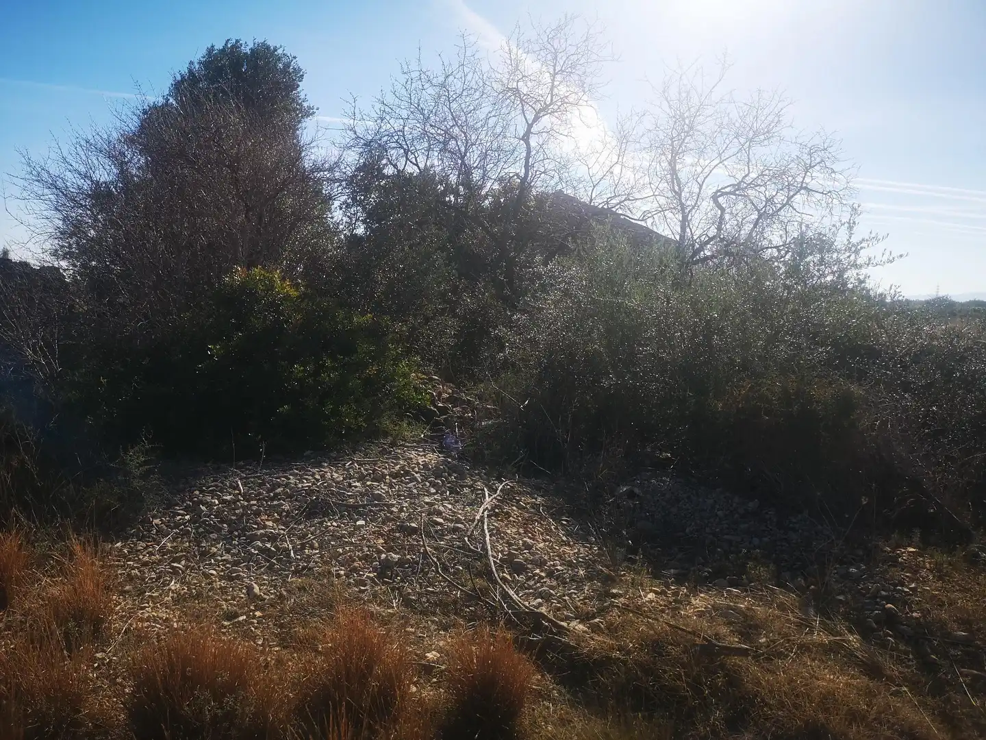 Terreno rustico in vendita a Traiguera, imagen 14