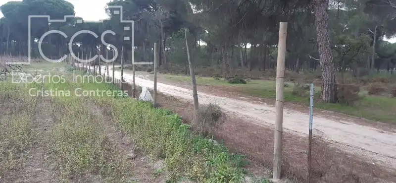 Terreni e lotti in vendita a Almonte ciudad, imagen 4