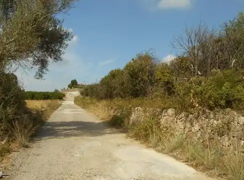 Rural land for sale in Pda Plá de La Font, imagen 9