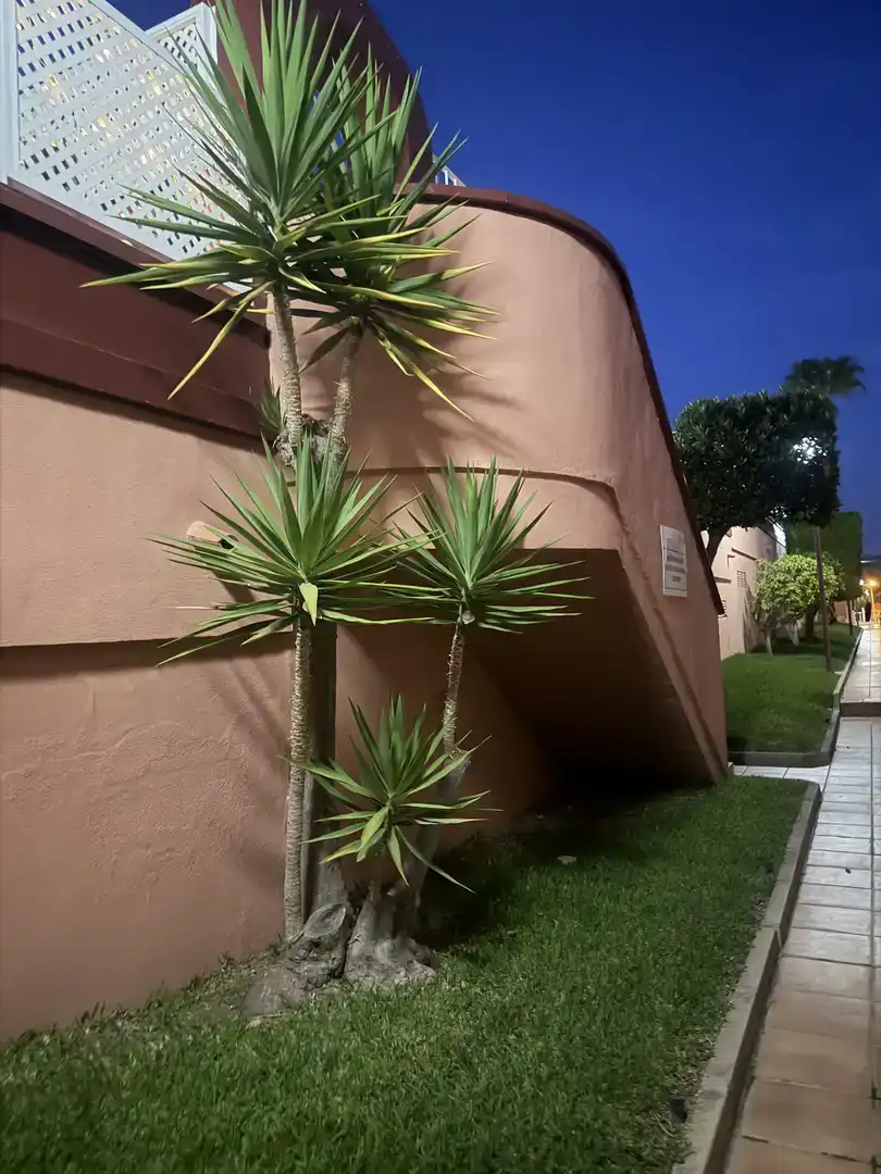 Außenansicht von Wohnungen zur Miete in Mazarrón mit Klimaanlage, Privatgarten und Parkett
