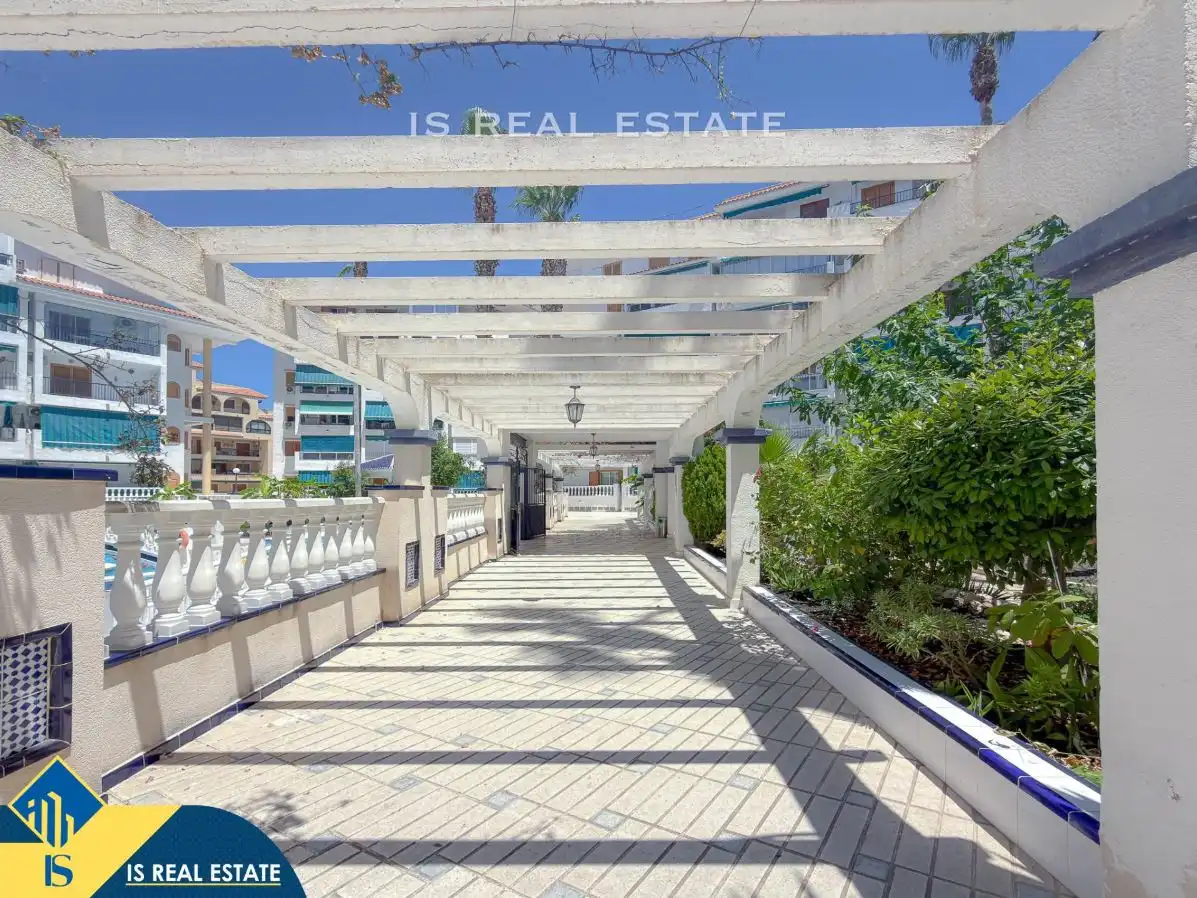 Vista exterior de Estudio en venta en Torrevieja con Aire acondicionado, Calefacción y Terraza