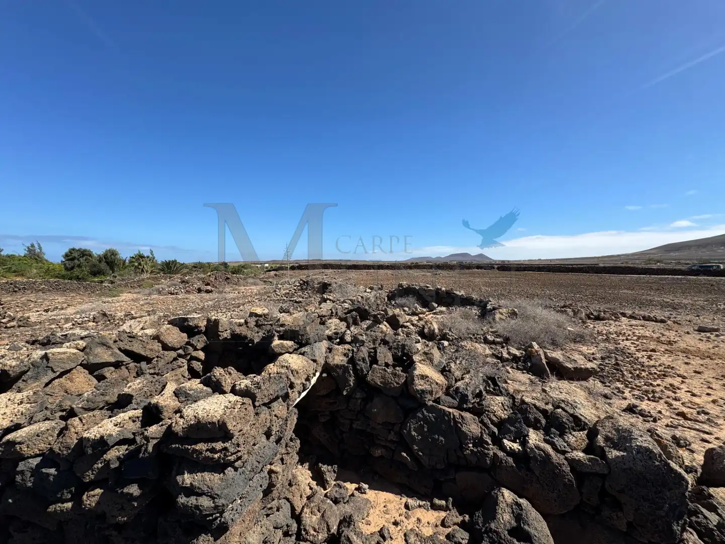 Land for sale in La Oliva