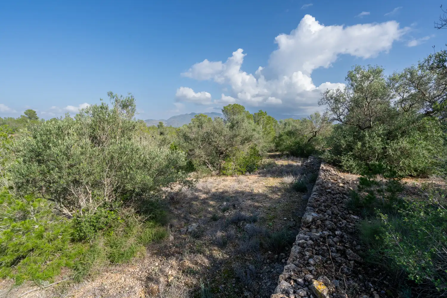 Terrain rustique à vendre à C-12 30, imagen 5