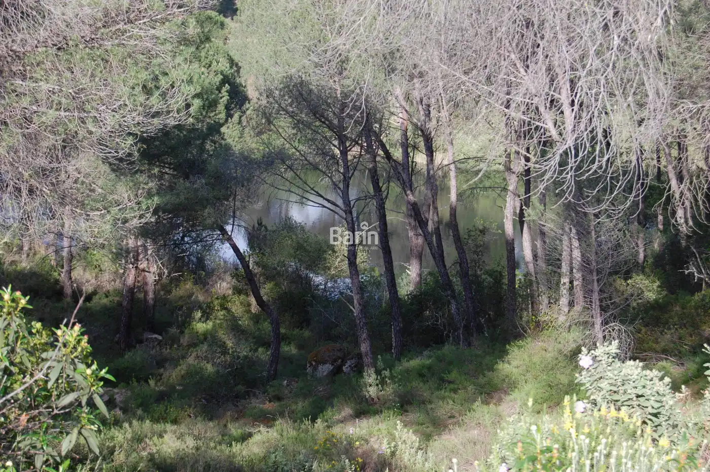 Lands and plots for sale in Periurbano Oeste - Sierra, imagen 2
