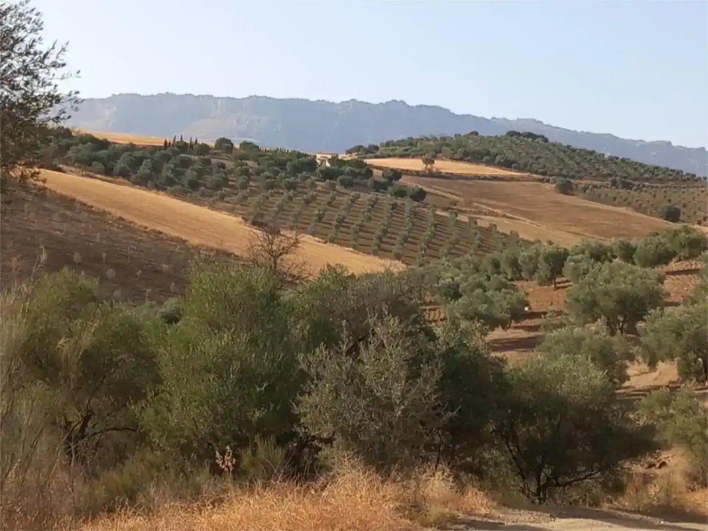 Pis en venda en Almogía, Málaga