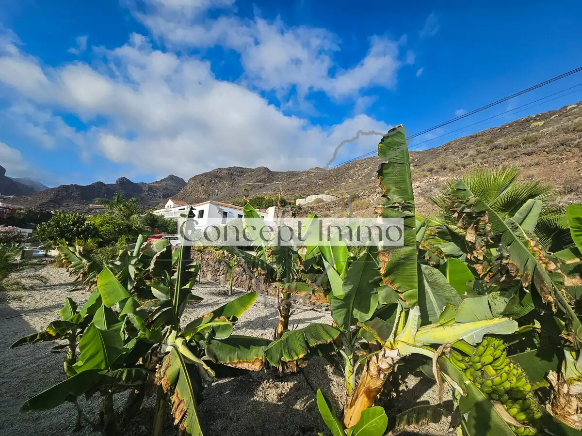 Vista exterior de Finca rústica en venda en Tamaimo - Arguayo