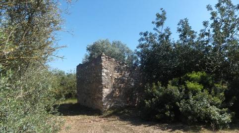 Foto 2 de Finca rústica en venda a Grau - Quintanes, Tarragona