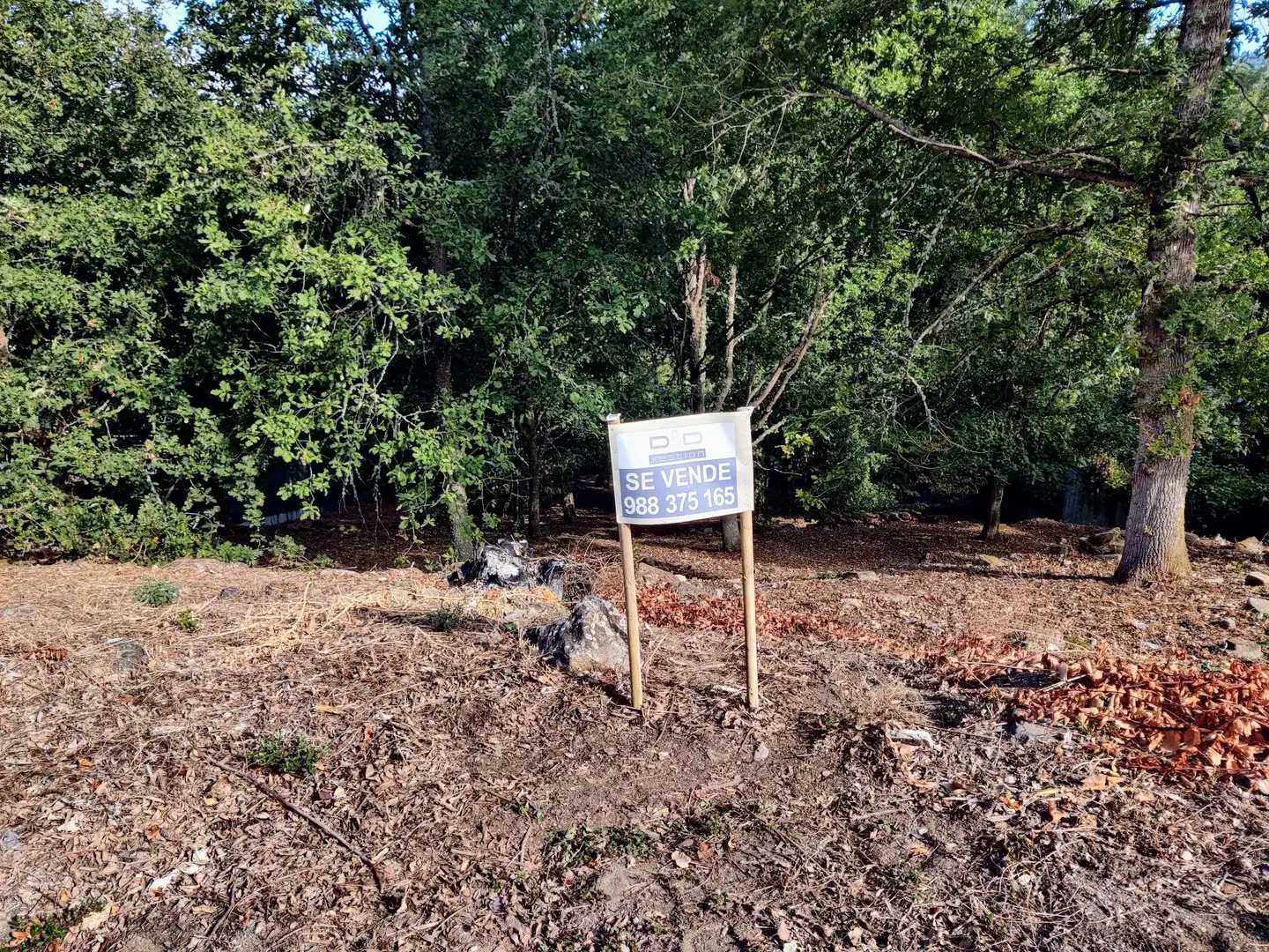 Residential land for sale in San Rosendo, imagen 8