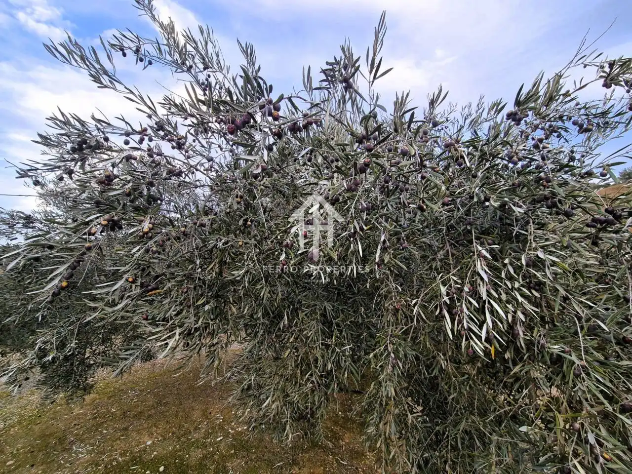 Terreni e lotti in vendita a Huétor Tájar, imagen 18