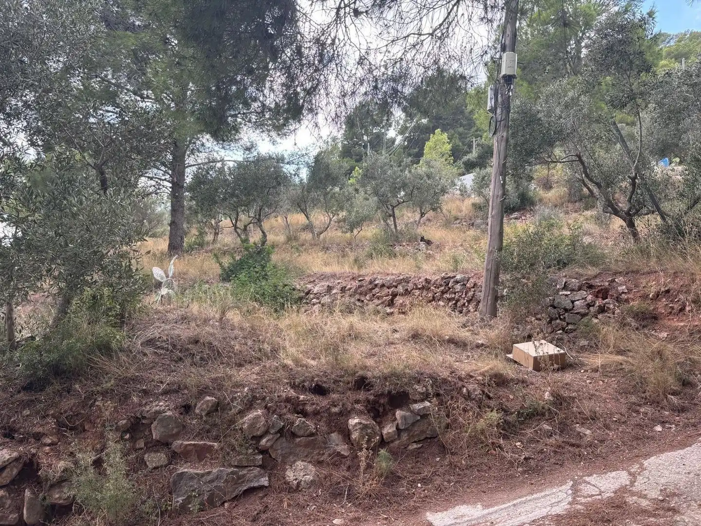 Terreny residencial en venda a del Puig 13, imagen 2