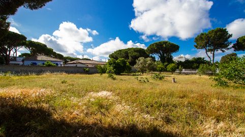 Foto 5 de Casa o xalet en venda a Pelagatos - Pago del Humo, Chiclana de la Frontera