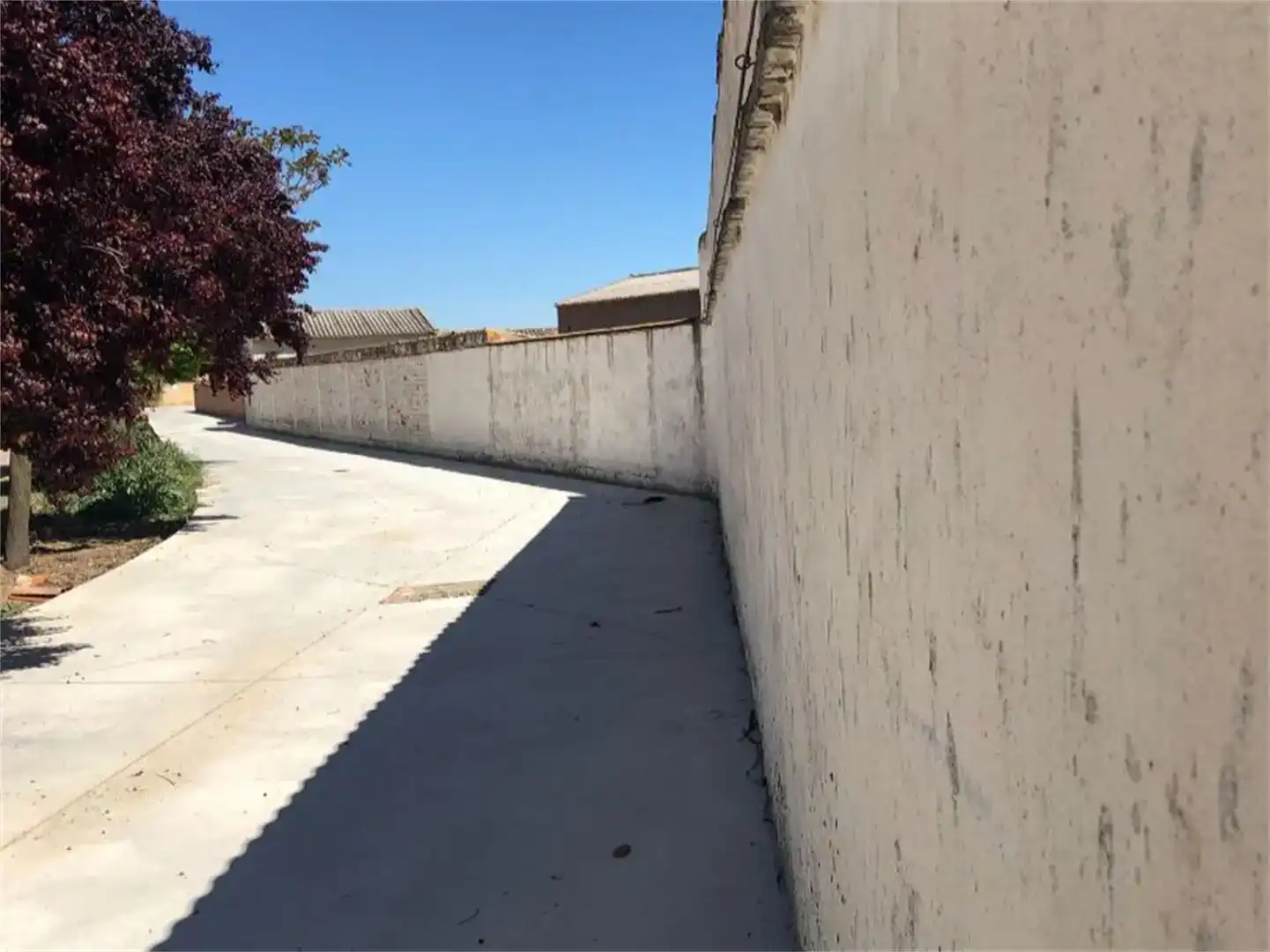 Exterior view of Land for sale in Pesquera de Duero