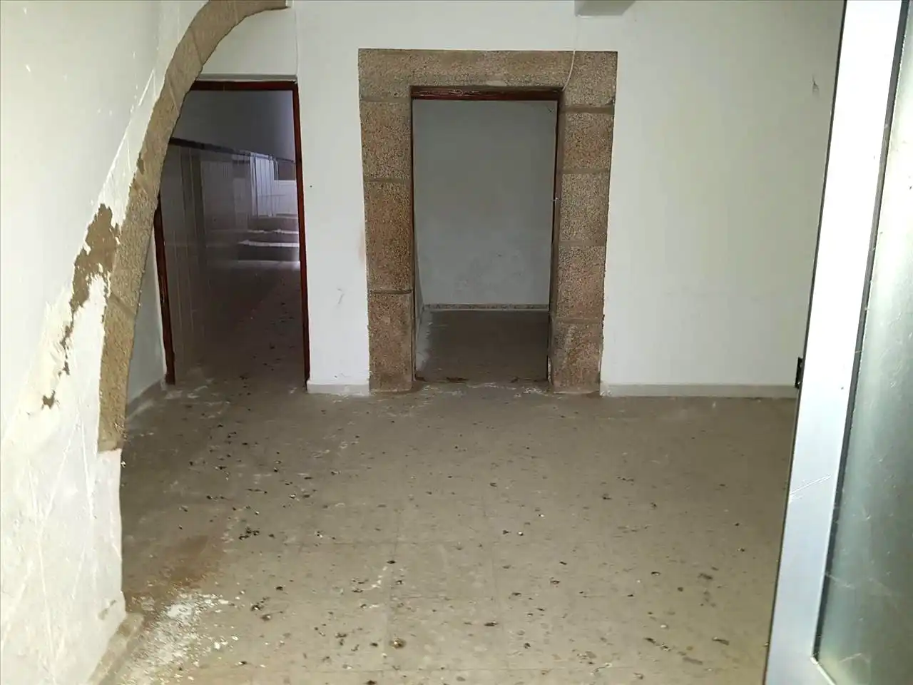 Houses for sale in Ceclavín