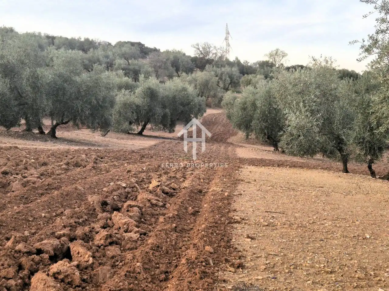 Terreny rústic en venda a Poligono ventorros de laguna 1, imagen 6