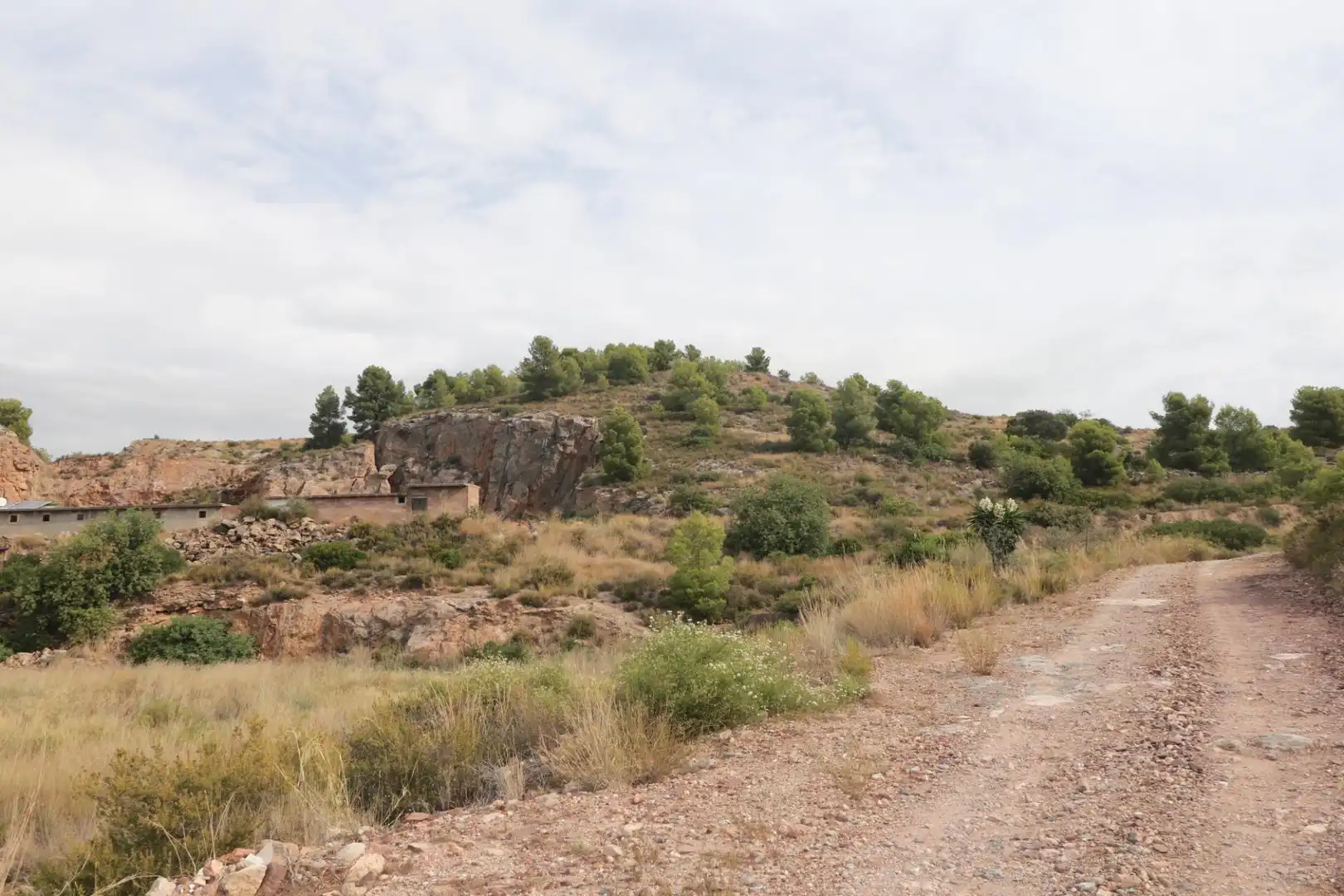 Rural land for sale in Nules, imagen 6