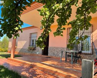 Vista exterior de Casa o xalet en venda en Guillena amb Jardí privat, Terrassa i Moblat