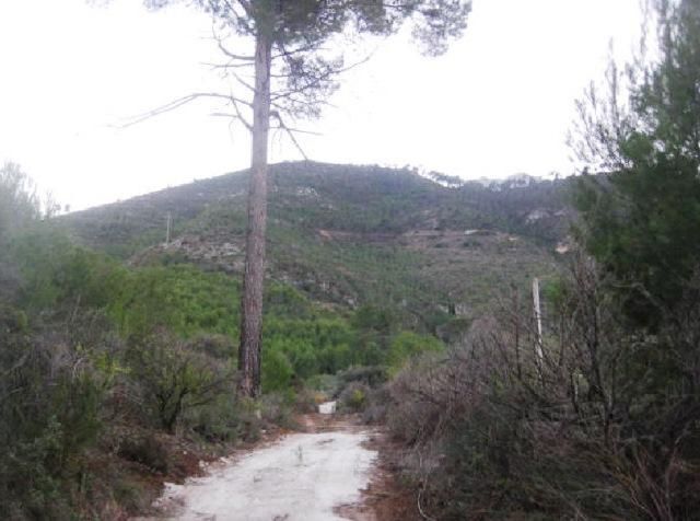 Land for sale in Salem