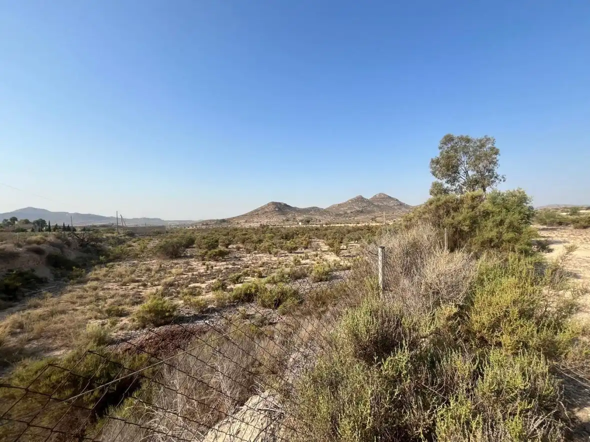 Casa rústica en venta en Partida de la Escandella, imagen 10