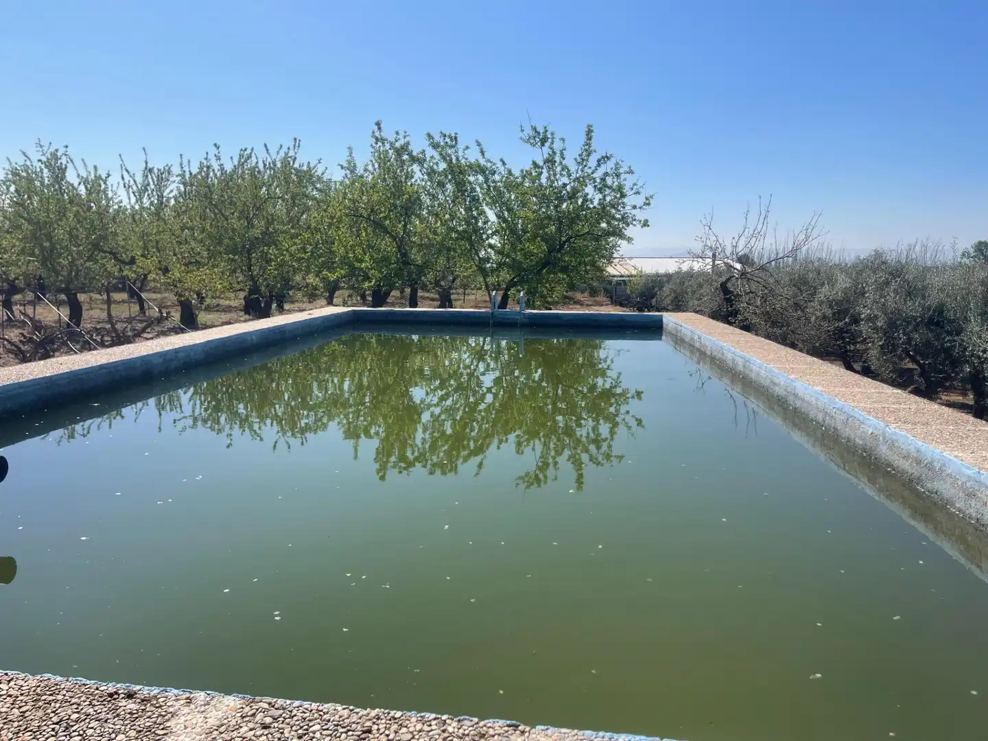 Piscina de Finca rústica en venda en Albolote amb Piscina