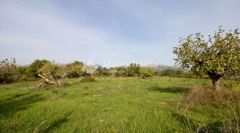 Foto 3 de Finca rústica en venta en Búger, Illes Balears