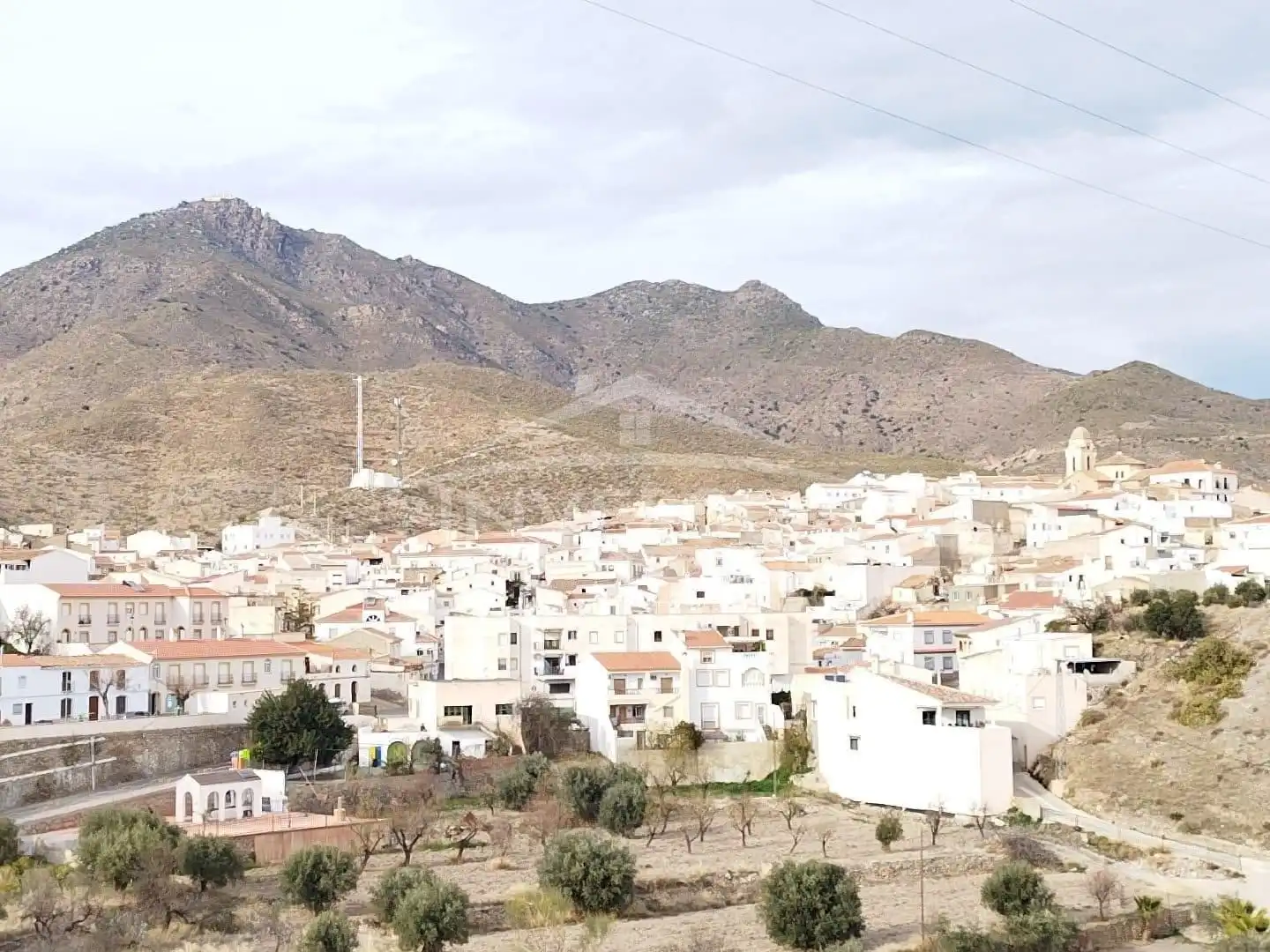 Vista exterior de Terreno en venta en Uleila del Campo