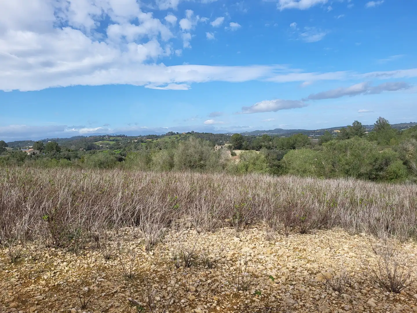 Terreni e lotti in vendita a Sant Joan, imagen 27