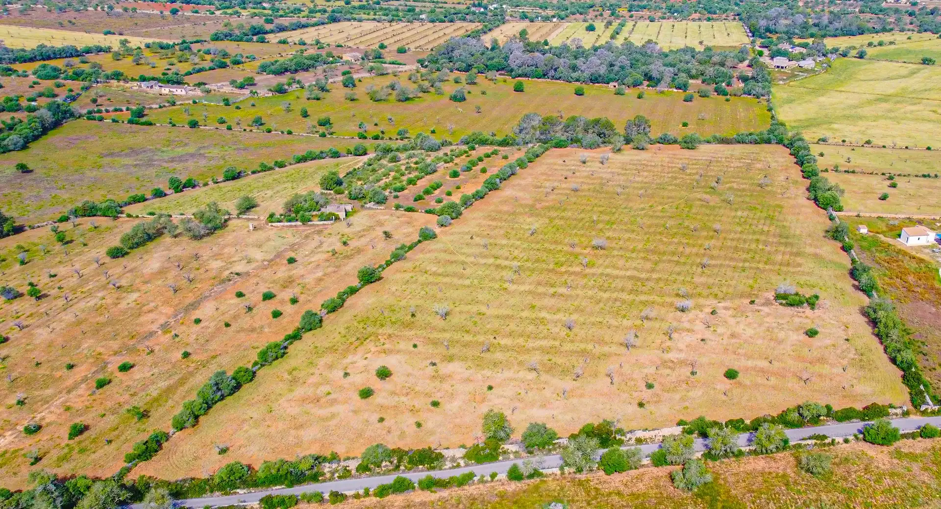 Terreno rustico in vendita a Llucmajor pueblo, imagen 5