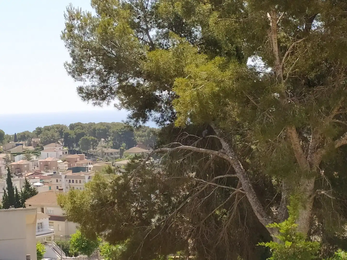House with terrace for sale in Segur de Calafell, imagen 44