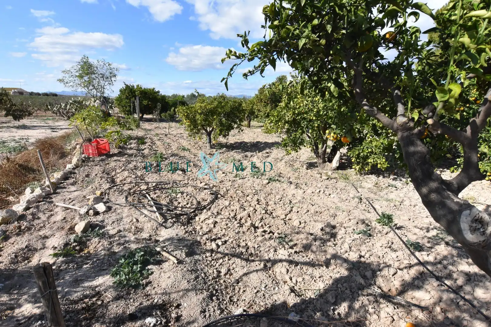 Maison rustique avec jardin à vendre à Mazarrón Casco Urbano, imagen 30