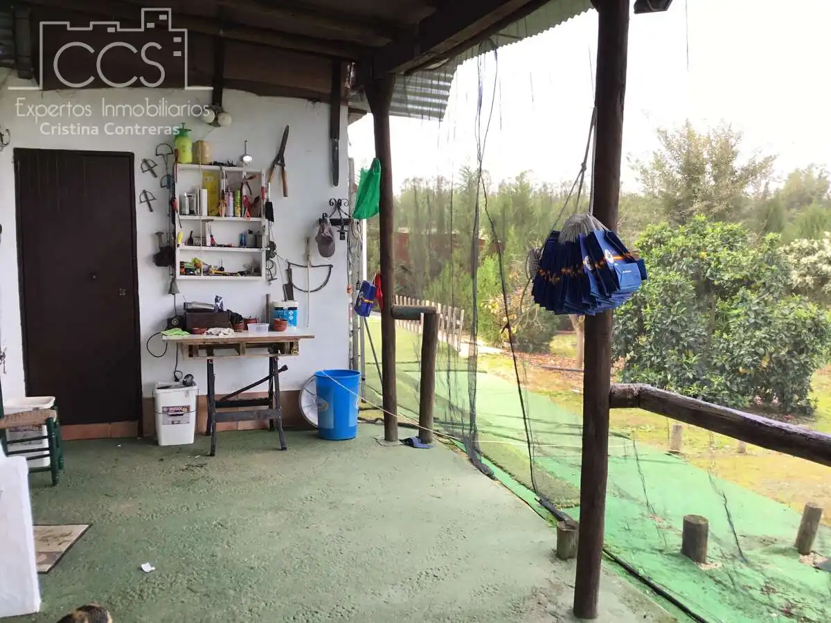 Casa rústica amb piscina en venda a Almonte ciudad, imagen 49
