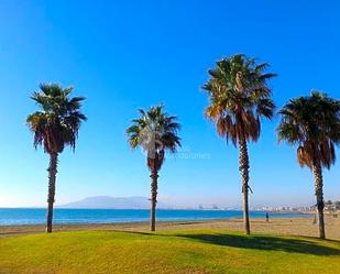 Exterior view of Flat for sale in Málaga Capital  with Terrace