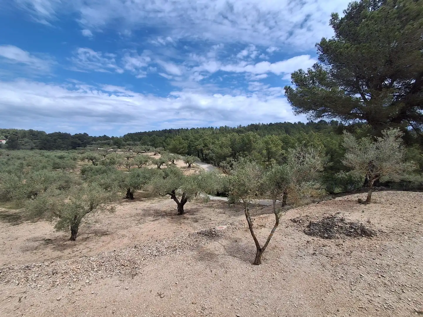 Terreno rustico in vendita a El Perelló, imagen 39