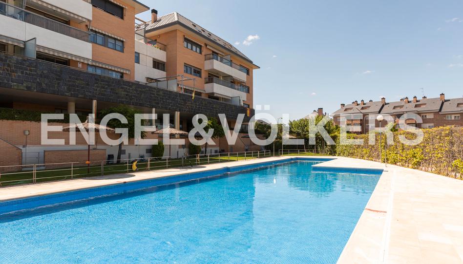 Photo 1 of Apartment to rent in Julio Fuentes, Viñas Viejas, Madrid