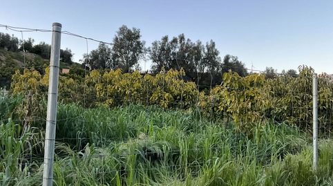 Terreno en venta en Murchas., immagine 4